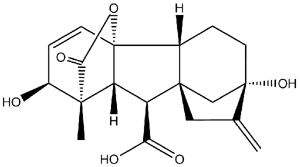 赤霉素GIBBERELLIC ACID，居然有這么神奇？